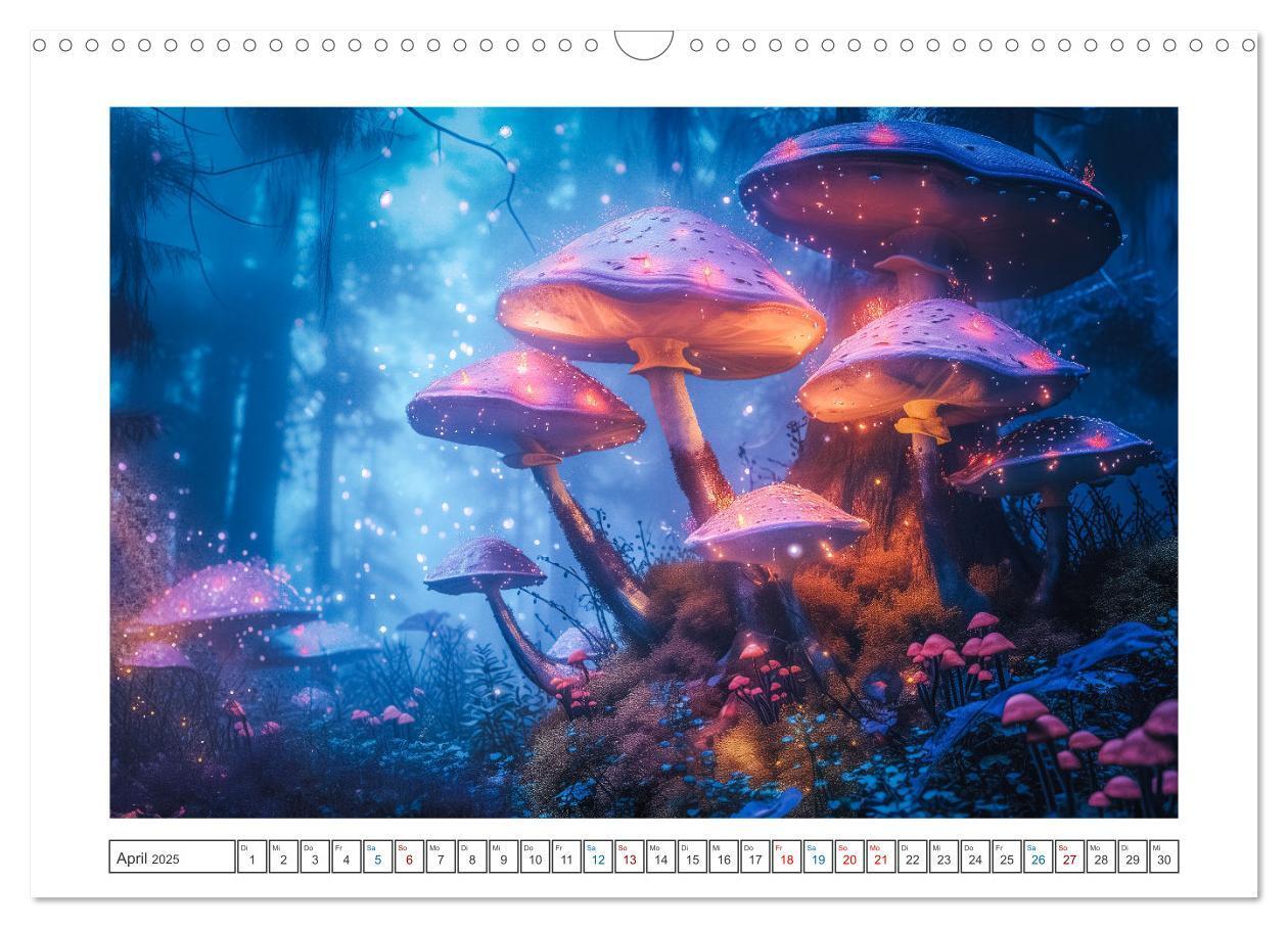 Bild: 9783457153635 | Zauberhafte Waldmomente (Wandkalender 2025 DIN A3 quer), CALVENDO...