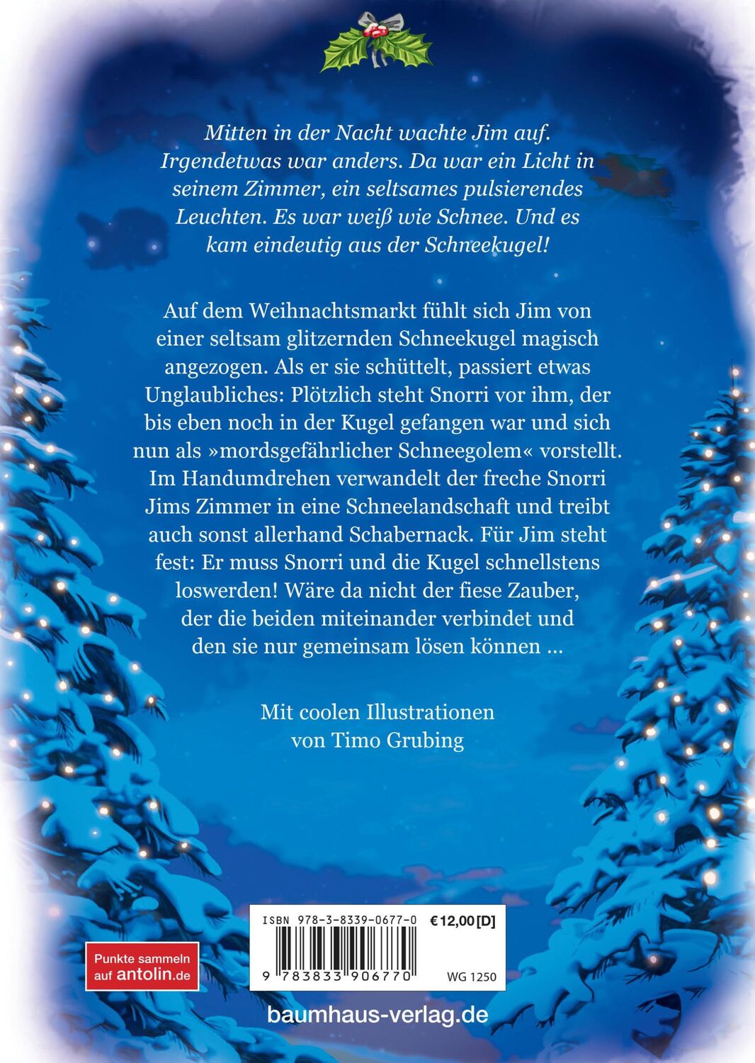 Bild: 9783833906770 | Die geheimnisvolle Weihnachtskugel | Anne Scheller | Buch | 208 S.