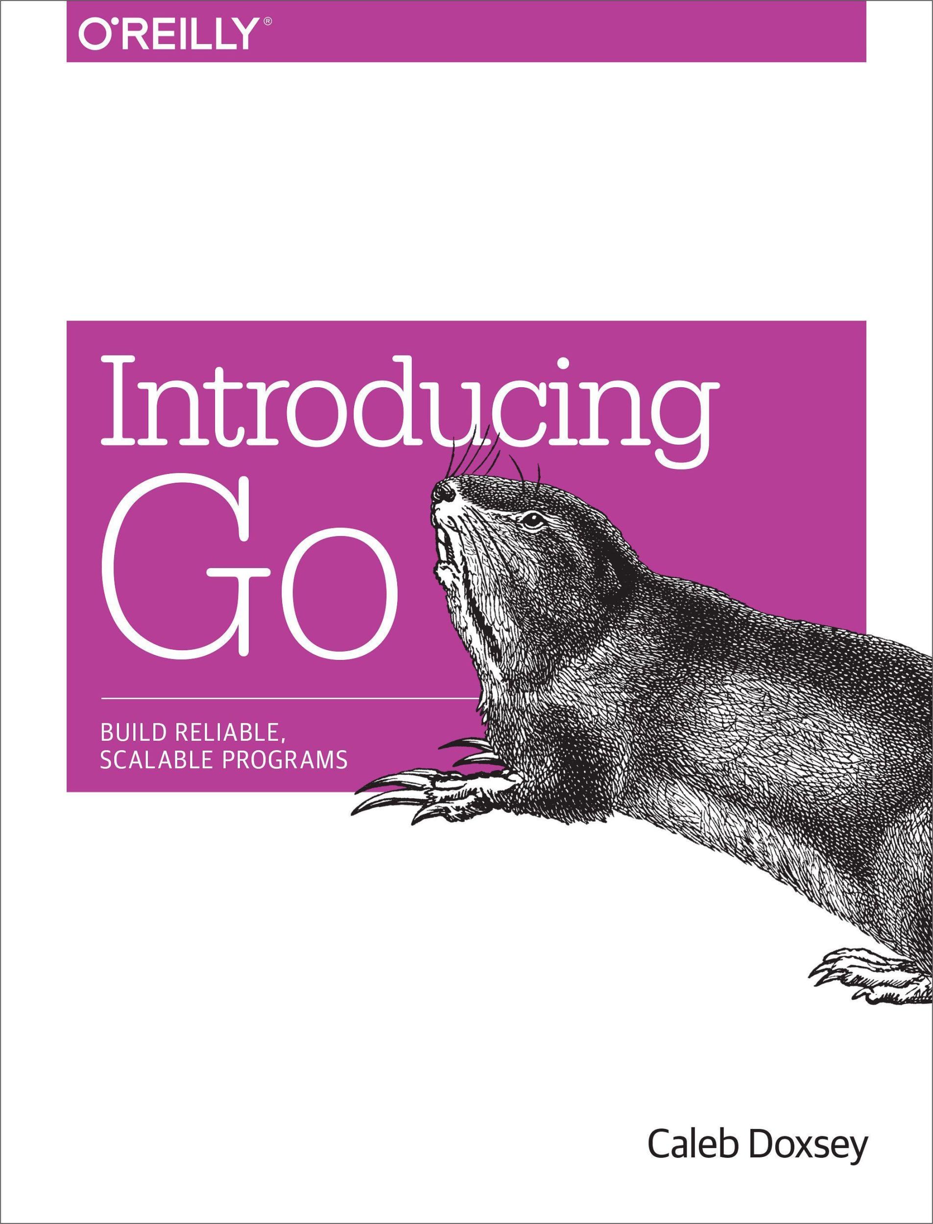 Cover: 9781491941959 | Introducing Go | Build Reliable, Scalable Programs | Caleb Doxsey