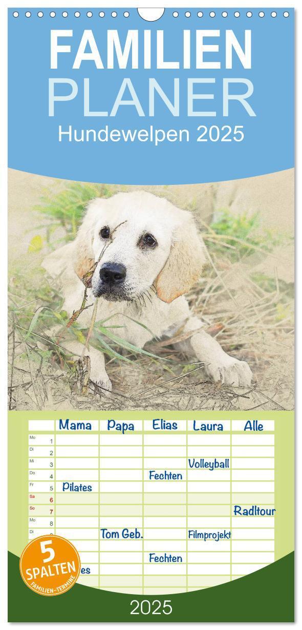 Cover: 9783457121177 | Familienplaner 2025 - Hundewelpen 2025 mit 5 Spalten (Wandkalender,...