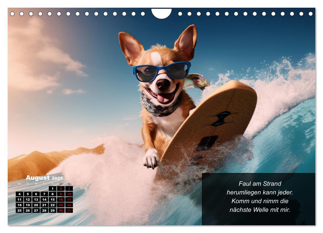 Bild: 9783457129388 | Lustige Chihuahua-Momente (Wandkalender 2025 DIN A4 quer), CALVENDO...