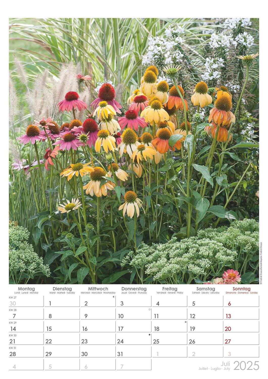 Bild: 4251732342005 | Traumgärten 2025 - Bildkalender A3 (29,7x42 cm) - Beautiful Gardens...