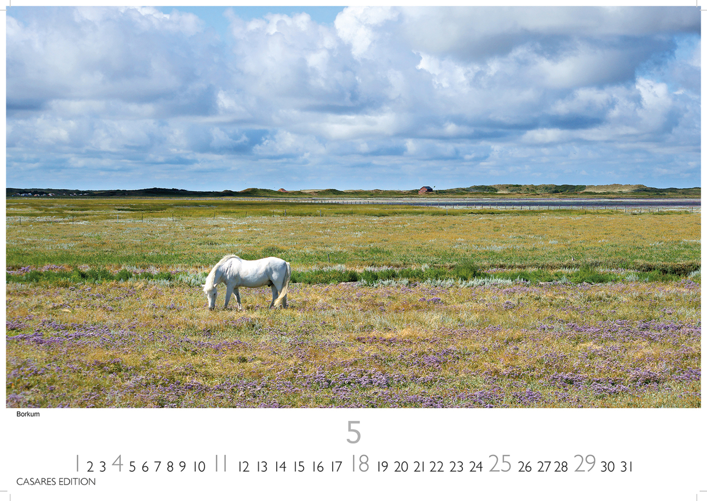 Bild: 9781835242926 | Nordseeküste 2025 L 35x50cm | Kalender | 14 S. | Deutsch | 2025