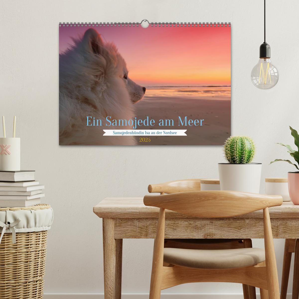 Bild: 9783435016099 | Ein Samojede am Meer (Wandkalender 2025 DIN A3 quer), CALVENDO...