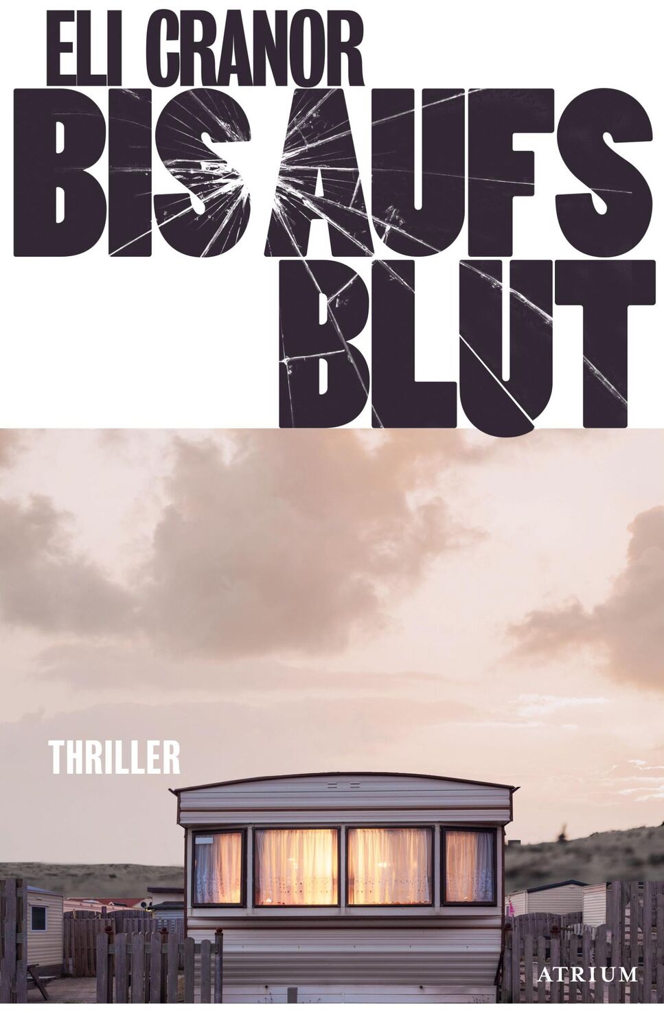 Cover: 9783855351794 | Bis aufs Blut | Thriller | Eli Cranor | Buch | 304 S. | Deutsch | 2024