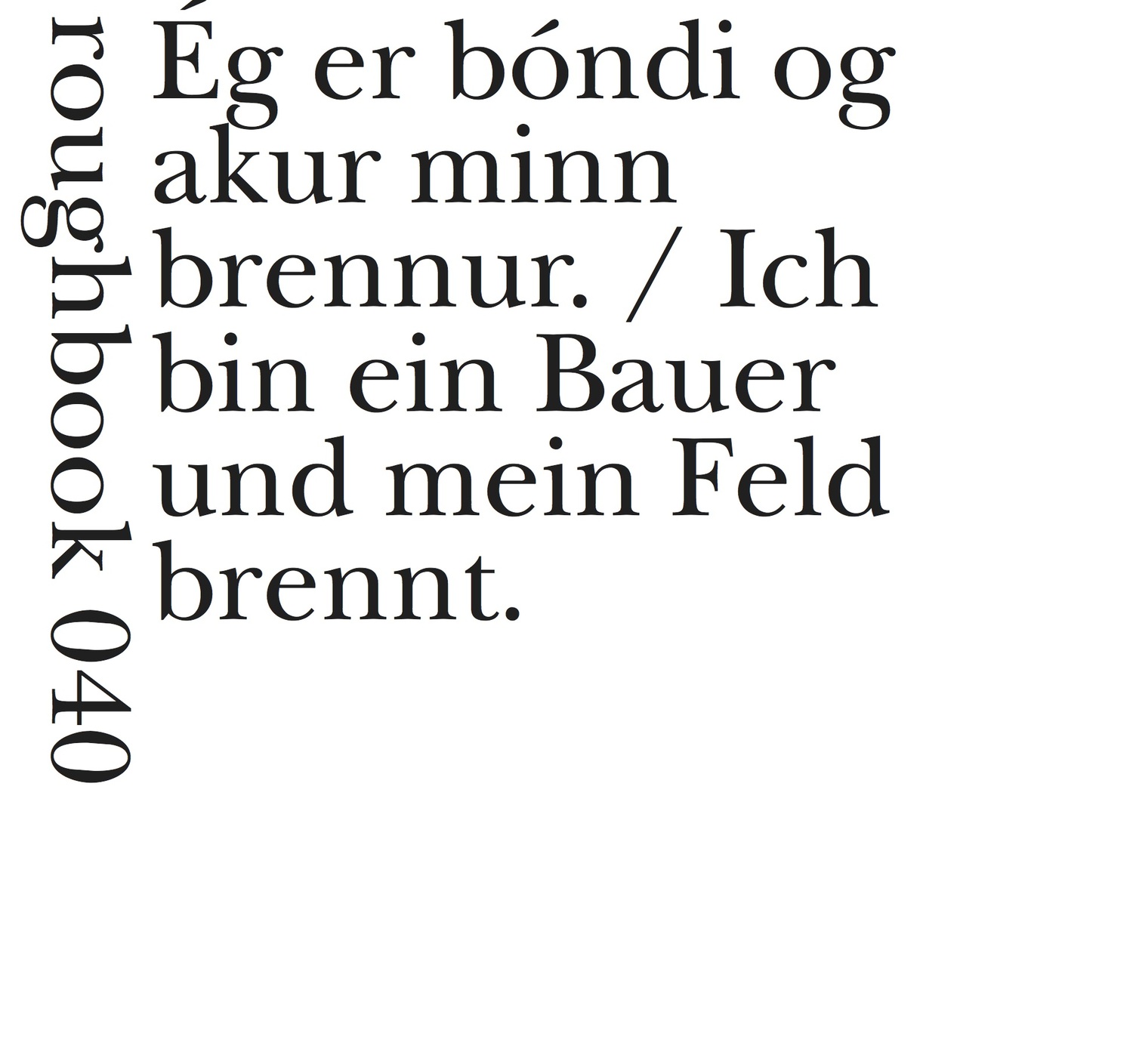 Cover: 9783906050218 | Ich bin ein Bauer und mein Feld brennt | Dt/ice, roughbooks 40 | Buch