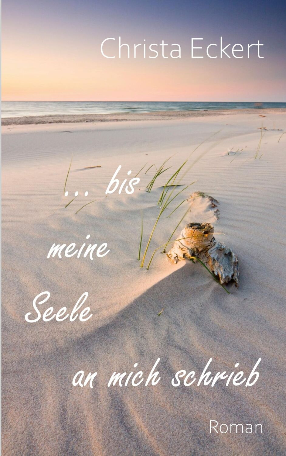 Cover: 9783753428017 | Bis meine Seele an mich schrieb | Roman | Christa Eckert | Taschenbuch