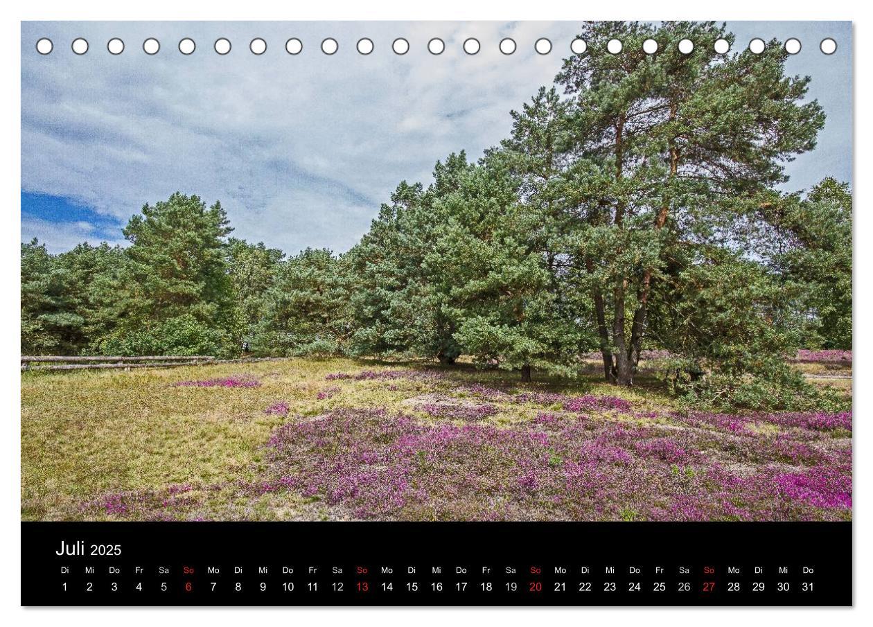 Bild: 9783435774555 | Lüneburger Heide (Tischkalender 2025 DIN A5 quer), CALVENDO...