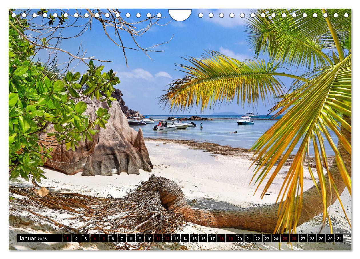 Bild: 9783435299508 | Seychellen Paradies 2025 (Wandkalender 2025 DIN A4 quer), CALVENDO...