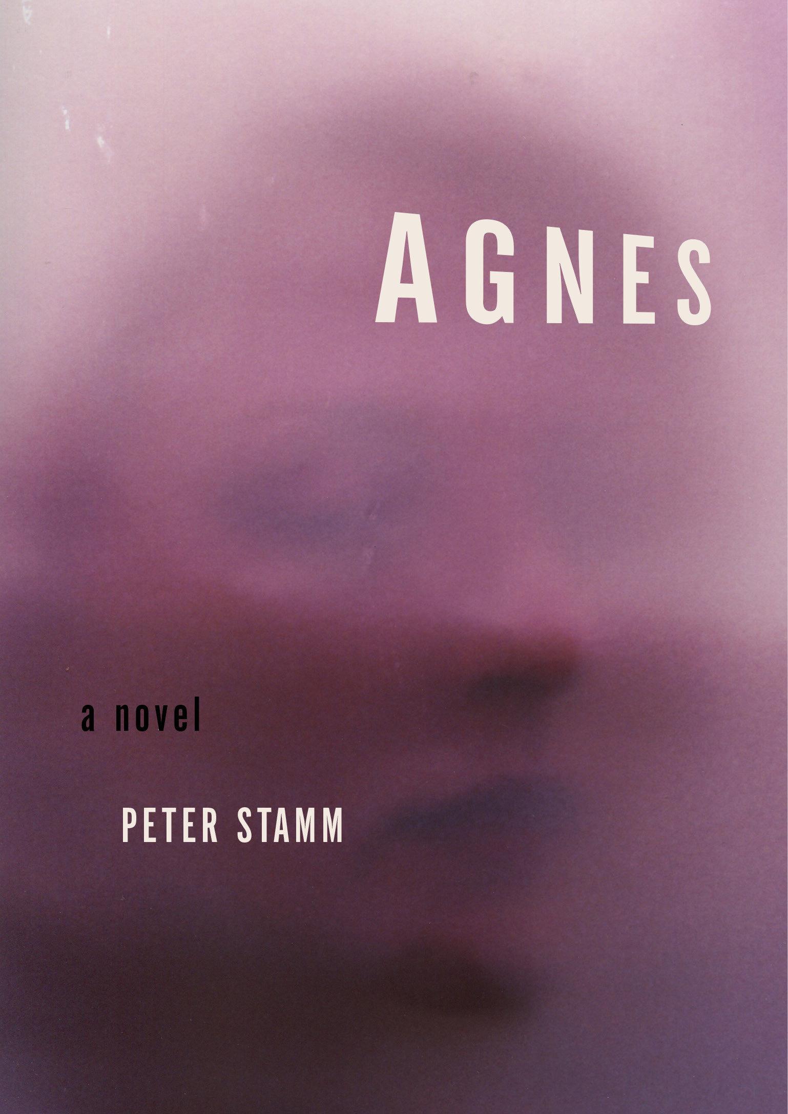 Cover: 9781590511534 | Agnes | Peter Stamm | Taschenbuch | Einband - flex.(Paperback) | 2019