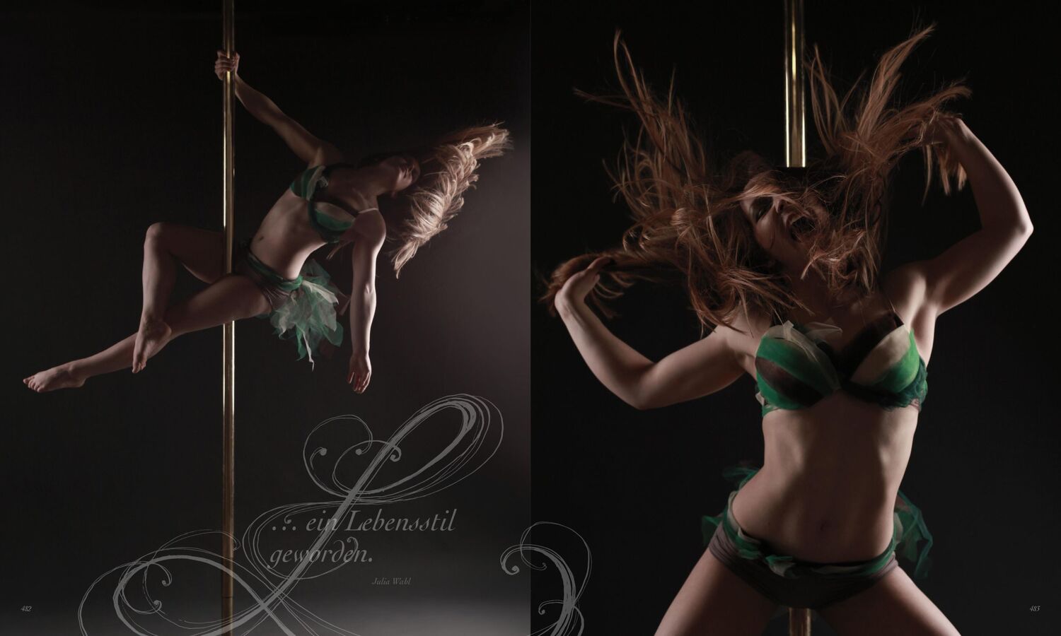 Bild: 9783767911949 | Poledance Passion - Technik, Training, Leidenschaft | Rebel (u. a.)