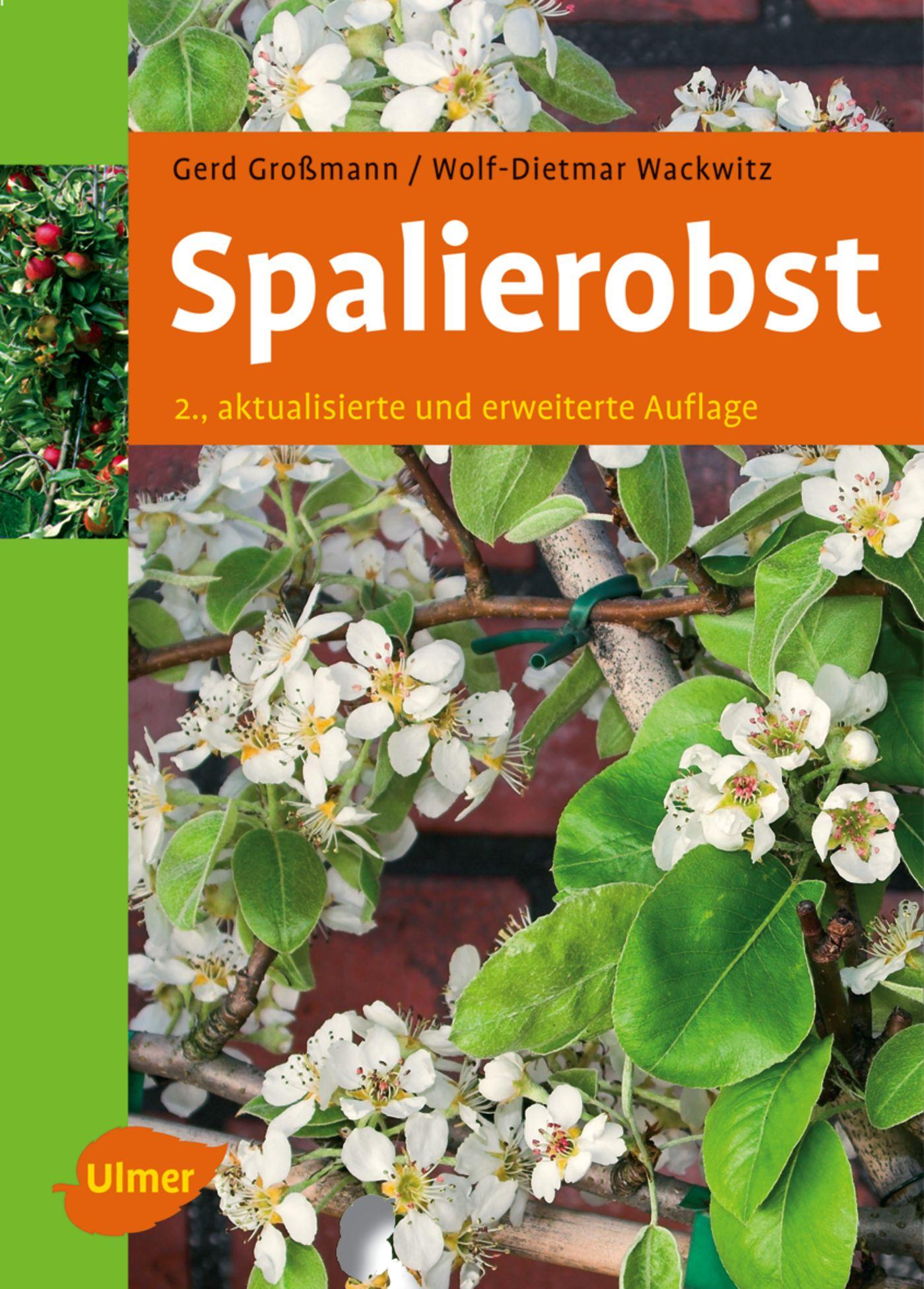 Cover: 9783800148226 | Spalierobst | Gerd Großmann (u. a.) | Buch | 142 S. | Deutsch | 2005