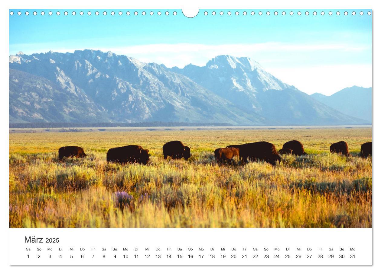 Bild: 9783383960710 | Wyoming - Der Bundesstaat der großen Ebenen. (Wandkalender 2025 DIN...