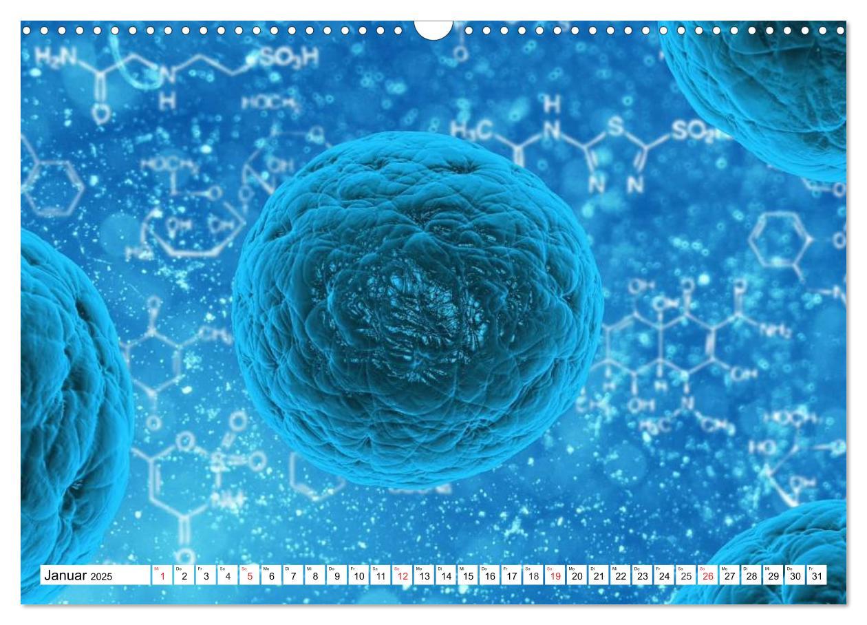 Bild: 9783435483853 | Mikrobiologie. Mikroorganismen, Genetik und Zellen (Wandkalender...