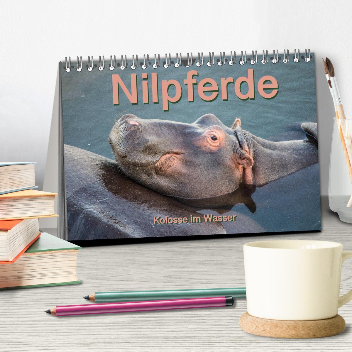 Bild: 9783435327461 | Nilpferde, Kolosse im Wasser (Tischkalender 2025 DIN A5 quer),...