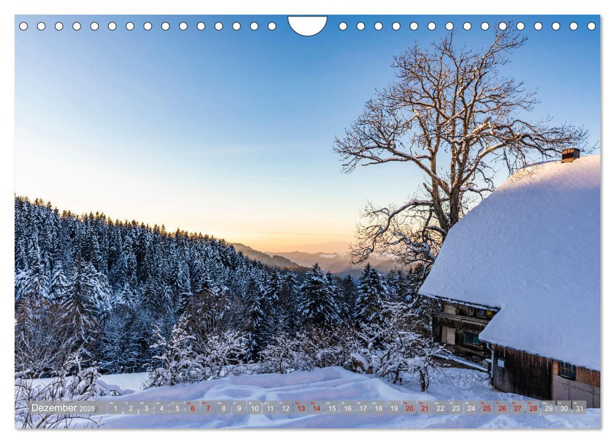 Bild: 9783435077090 | Ein Jahr im Schwarzwald (Wandkalender 2025 DIN A4 quer), CALVENDO...