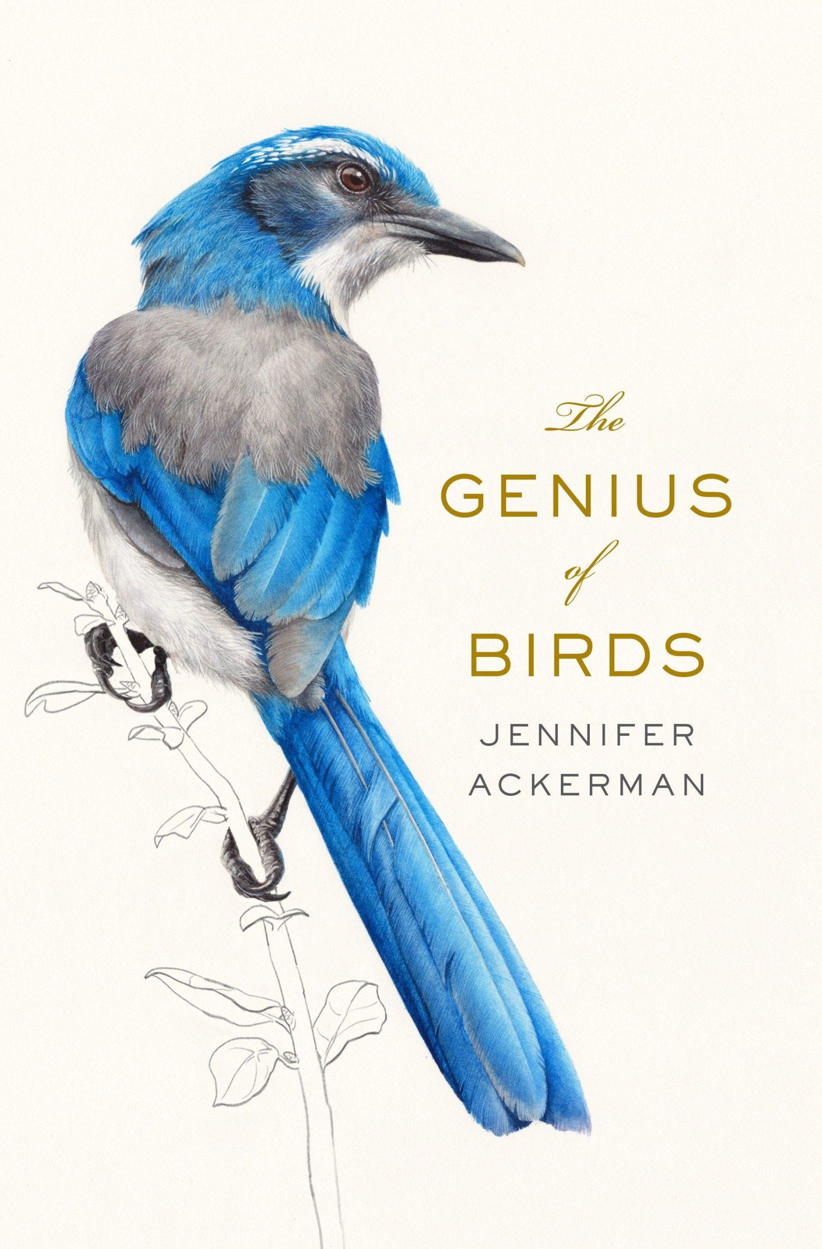 Cover: 9781594205217 | The Genius of Birds | Jennifer Ackerman | Buch | Englisch | 2016