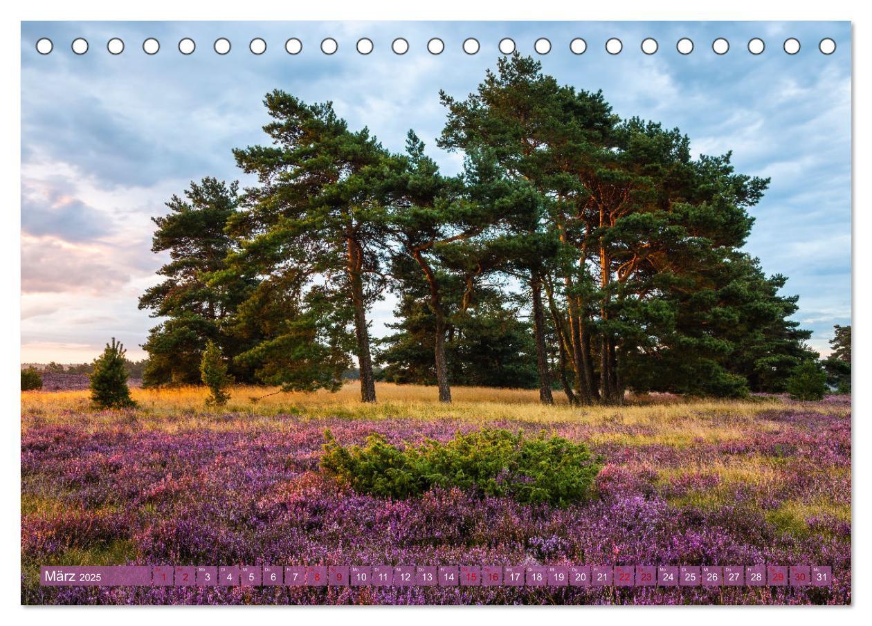 Bild: 9783383951510 | Romantische Heideblüte (Tischkalender 2025 DIN A5 quer), CALVENDO...