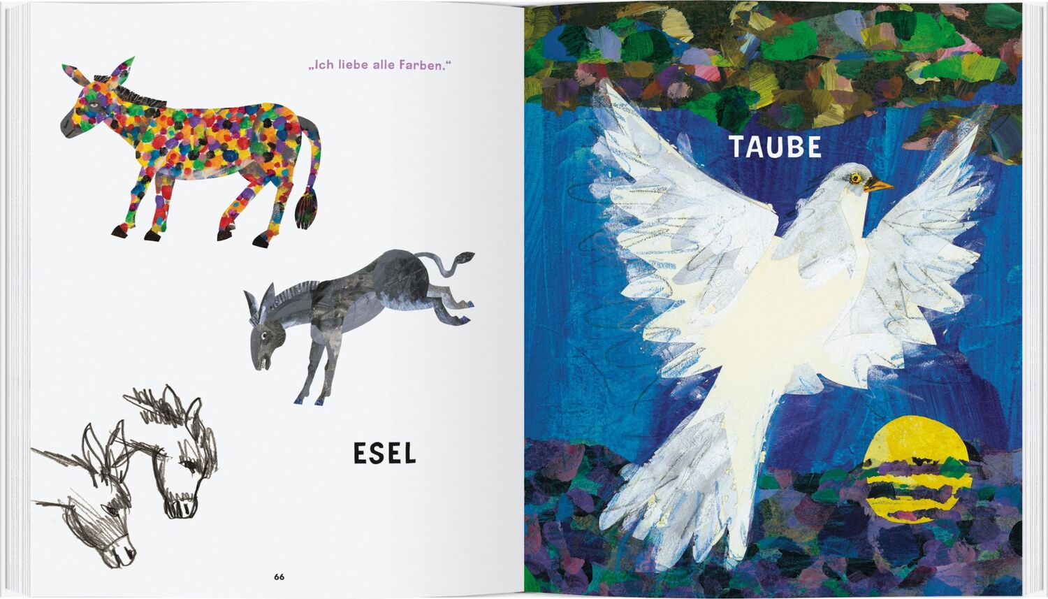 Bild: 9783836963077 | Eric Carles Welt der Tiere | Eric Carle | Buch | 188 S. | Deutsch