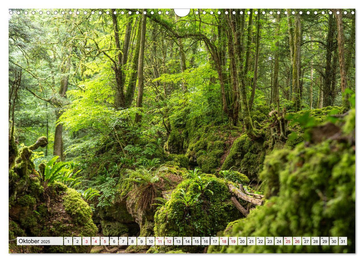 Bild: 9783383915314 | Traumhafte Wälder (Wandkalender 2025 DIN A3 quer), CALVENDO...