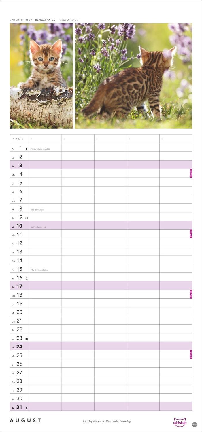 Bild: 9783756405831 | Whiskas Familienplaner 2025 | Kalender | Familienplaner Athesia | 2025