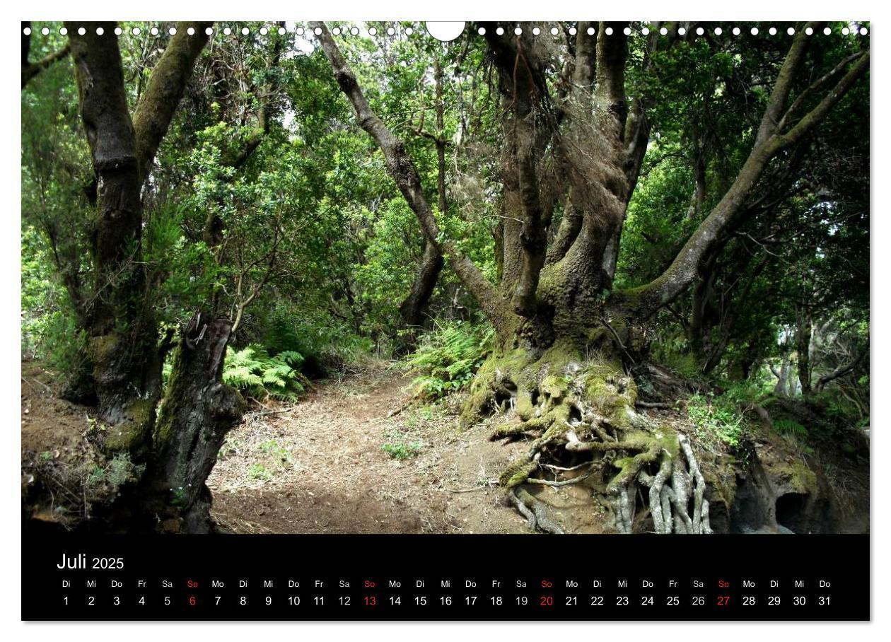 Bild: 9783435812387 | Insel El Hierro - Perle der Kanaren (Wandkalender 2025 DIN A3...