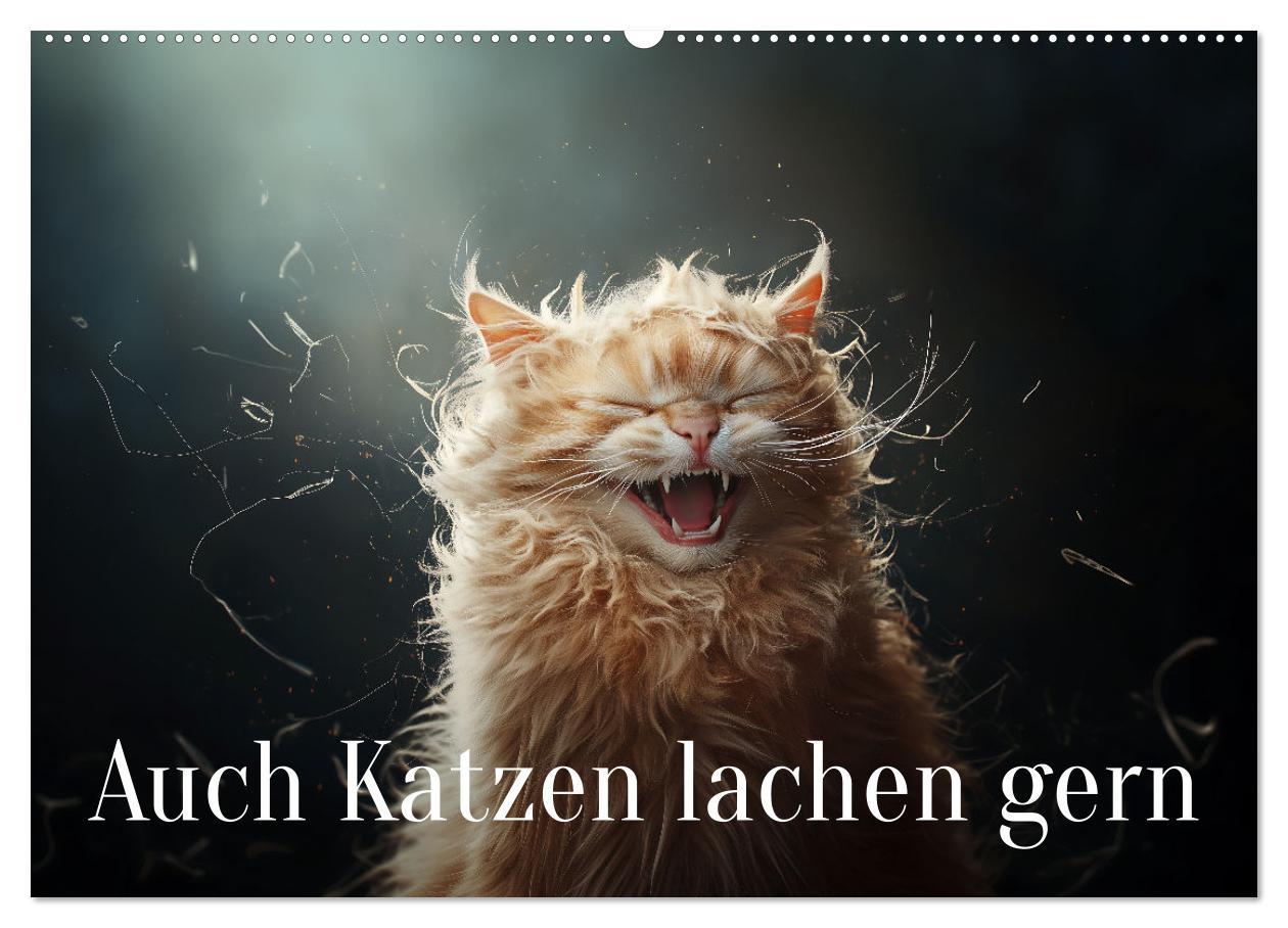 Cover: 9783457202036 | Auch Katzen lachen gern (Wandkalender 2025 DIN A2 quer), CALVENDO...