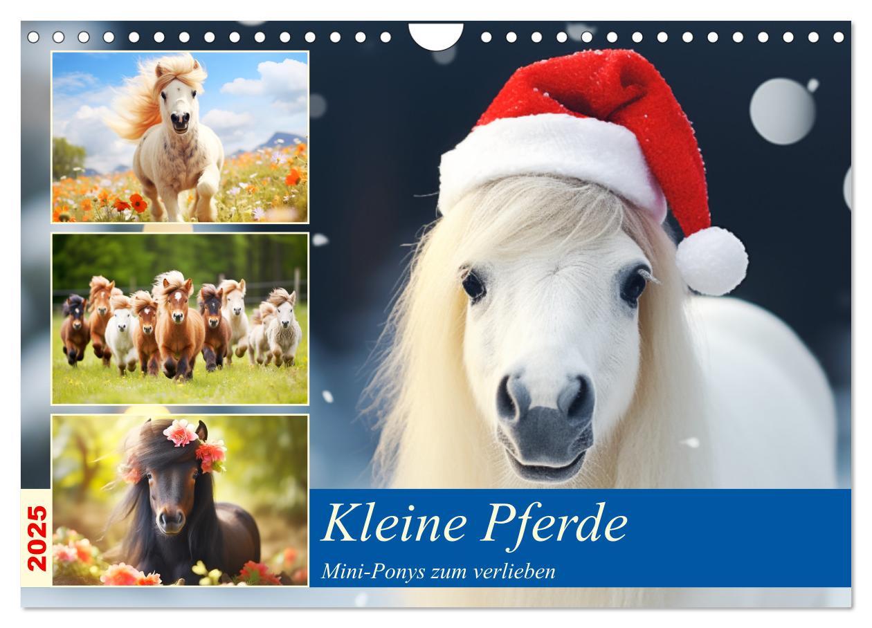 Cover: 9783435011605 | Kleine Pferde. Mini-Ponys zum verlieben (Wandkalender 2025 DIN A4...