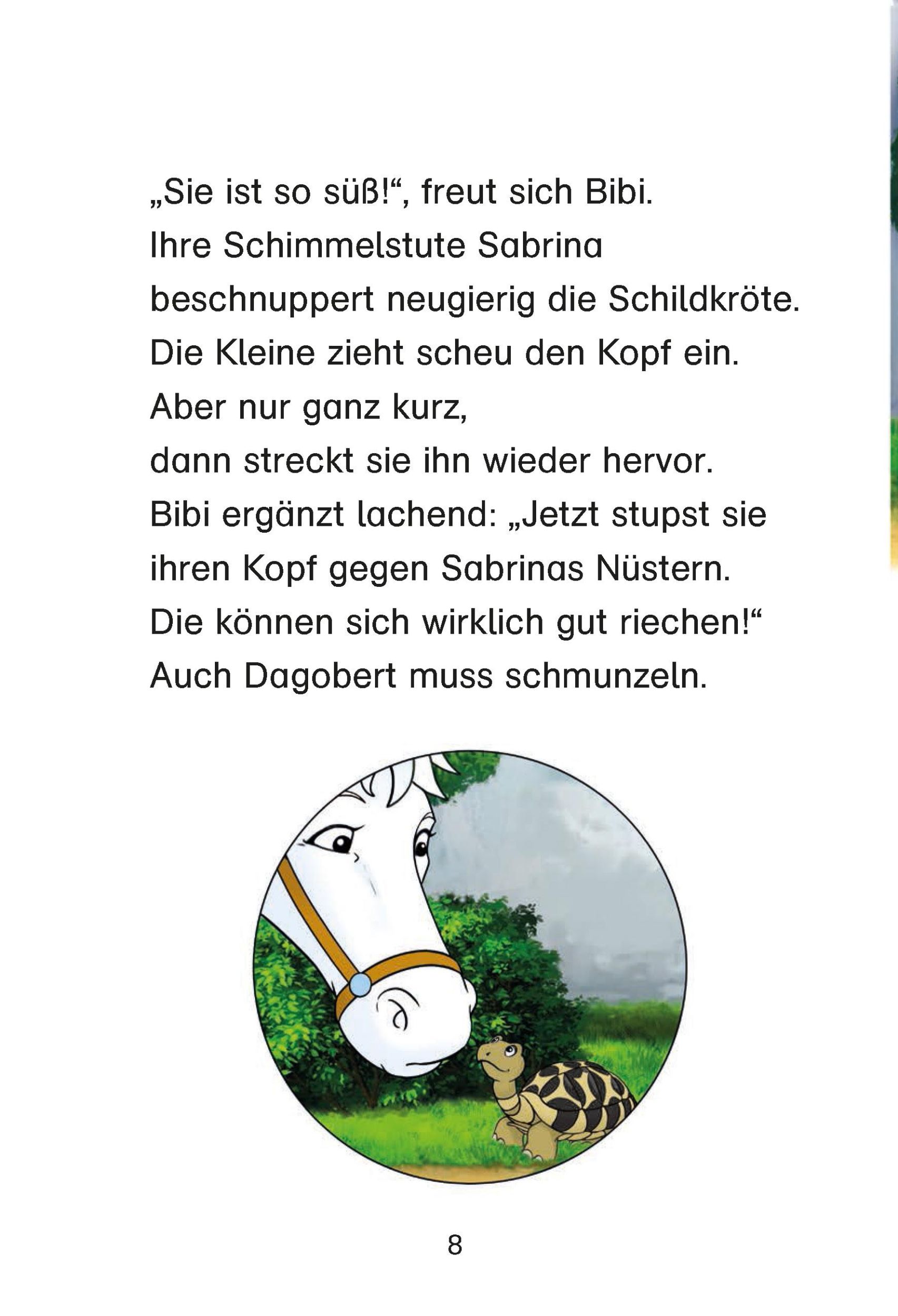 Bild: 9783129496947 | Bibi &amp; Tina: Eine Schildkröte kommt selten allein | Bornstädt | Buch