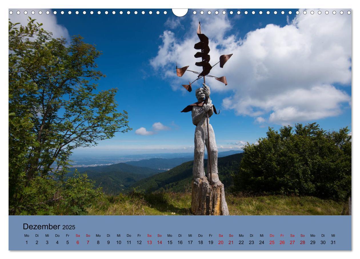 Bild: 9783435360758 | Wundervolles Freiburg (Wandkalender 2025 DIN A3 quer), CALVENDO...