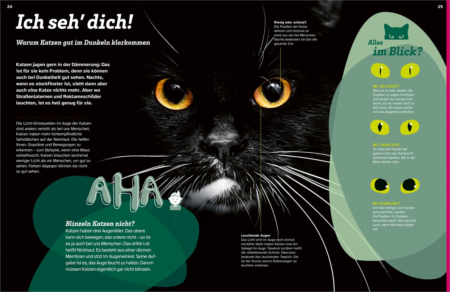 Bild: 9783788681760 | WAS IST WAS Katzen. Eigenwillige Schnurrer | Judith Weber | Buch