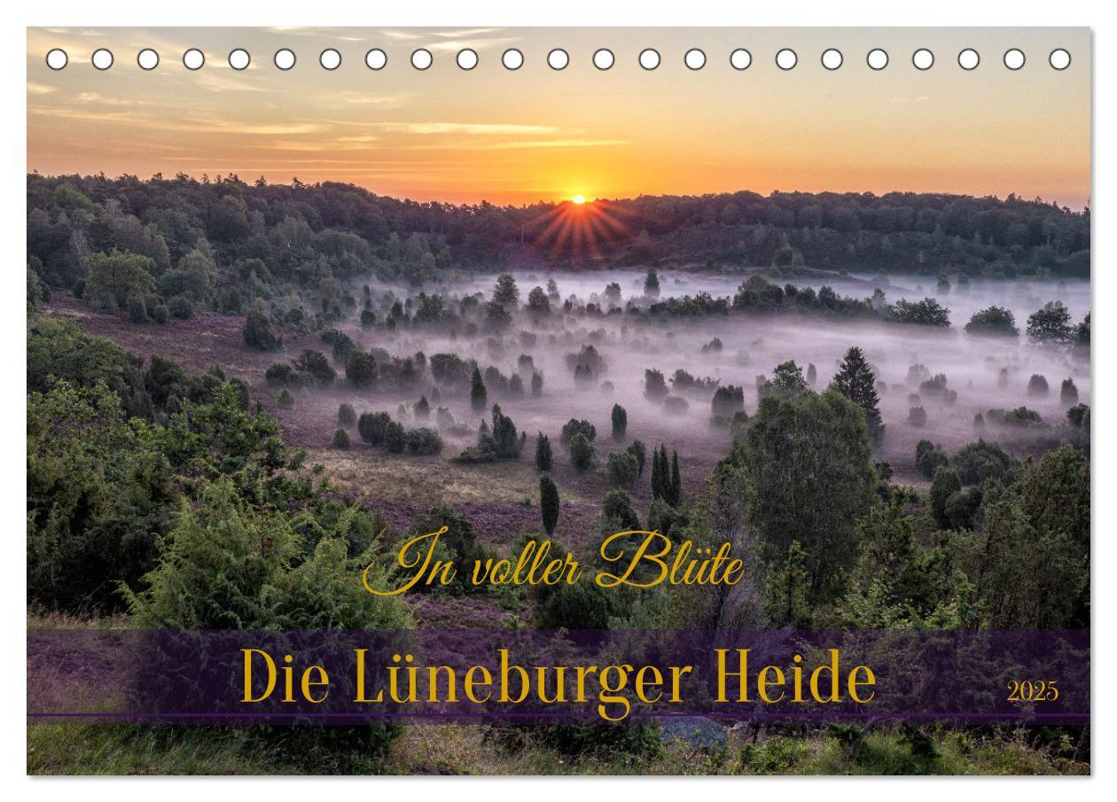 Cover: 9783383853005 | Die Lüneburger Heide - In voller Blüte (Tischkalender 2025 DIN A5...