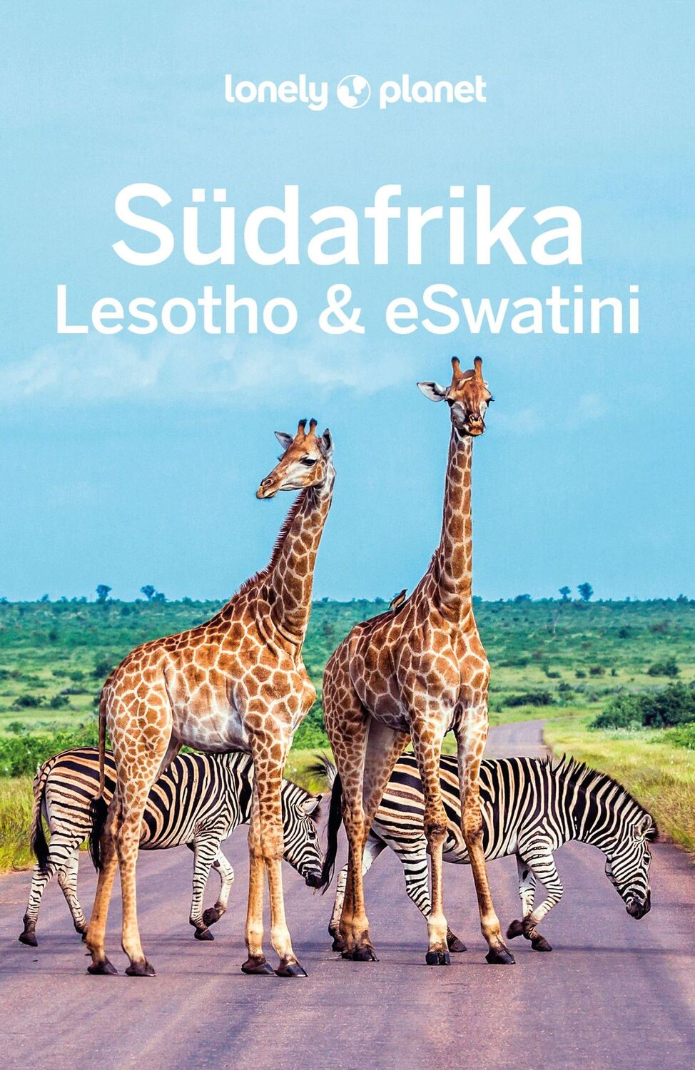 Cover: 9783575010209 | LONELY PLANET Reiseführer Südafrika, Lesotho &amp; eSwatini | Taschenbuch