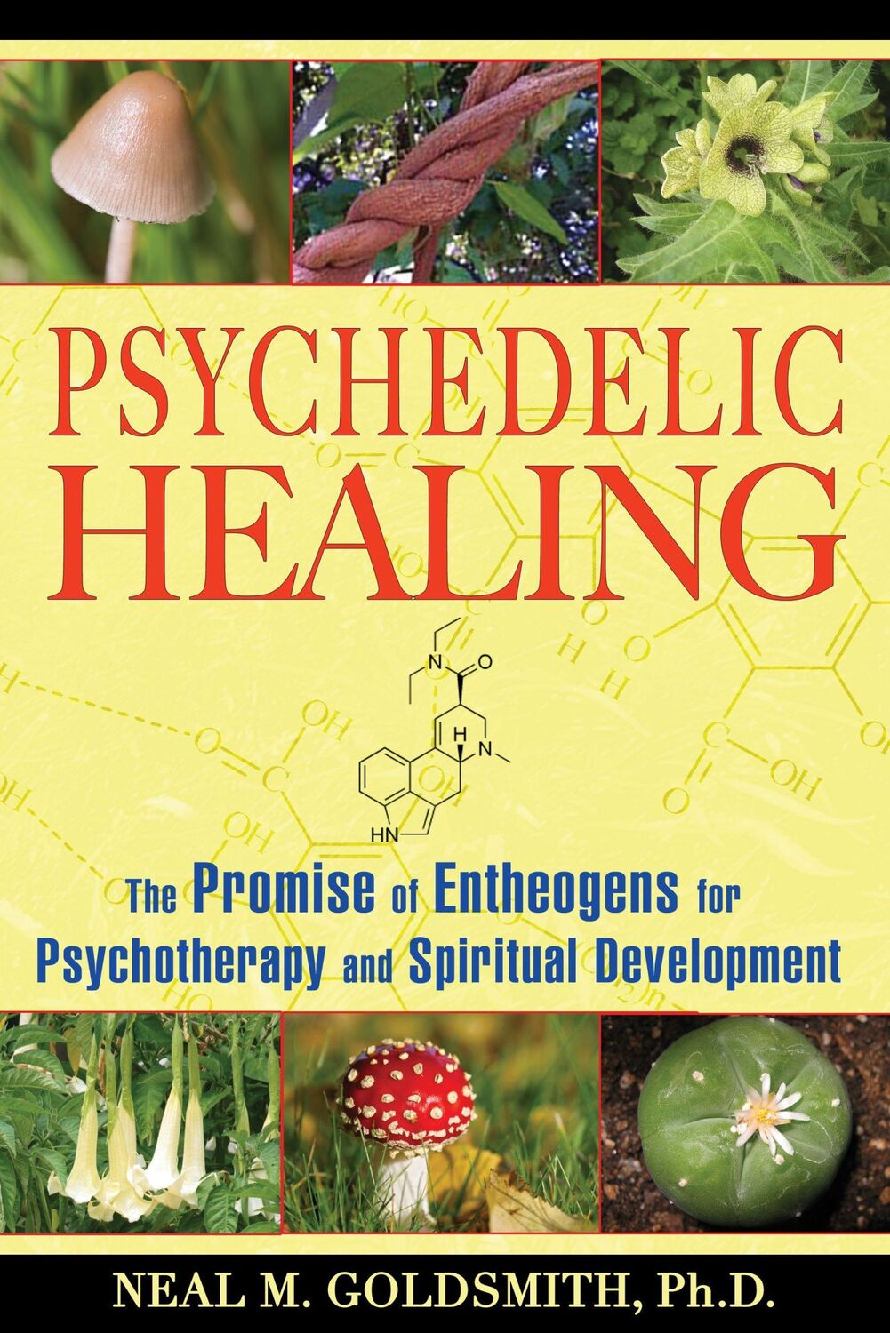 Cover: 9781594772504 | Psychedelic Healing | Neal M Goldsmith | Taschenbuch | Englisch | 2010