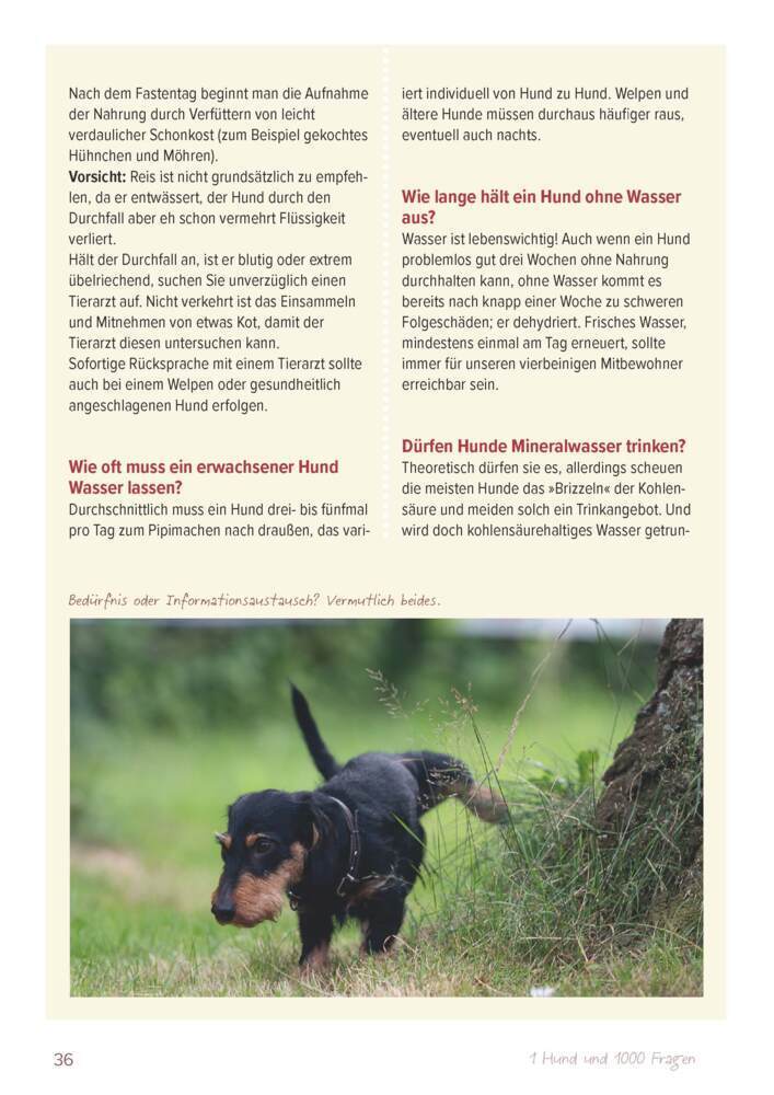 Bild: 9783275022441 | Ein Hund und 1000 Fragen | Basics für frischgebackene Hundehalter