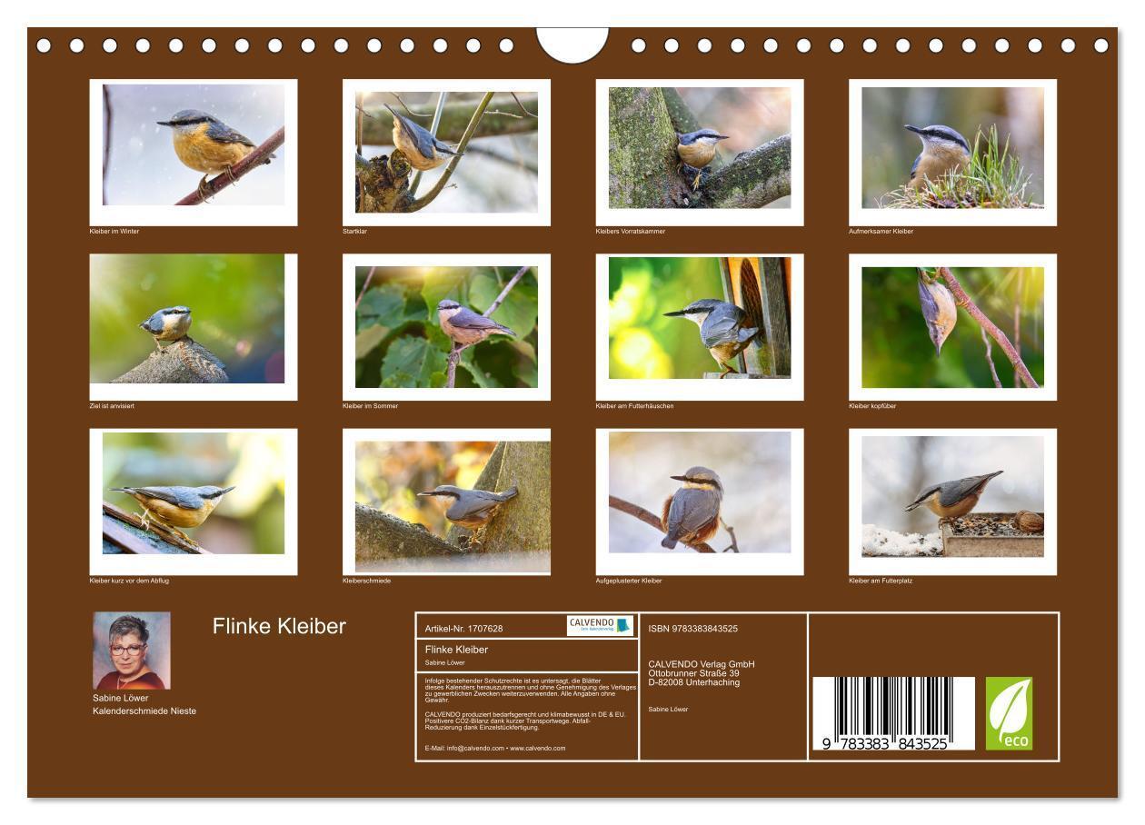 Bild: 9783383843525 | Flinke Kleiber (Wandkalender 2025 DIN A4 quer), CALVENDO...