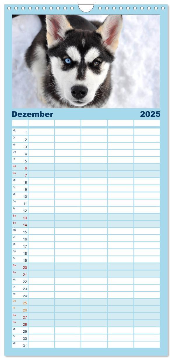 Bild: 9783457113264 | Familienplaner 2025 - Husky-Kalender mit 5 Spalten (Wandkalender,...