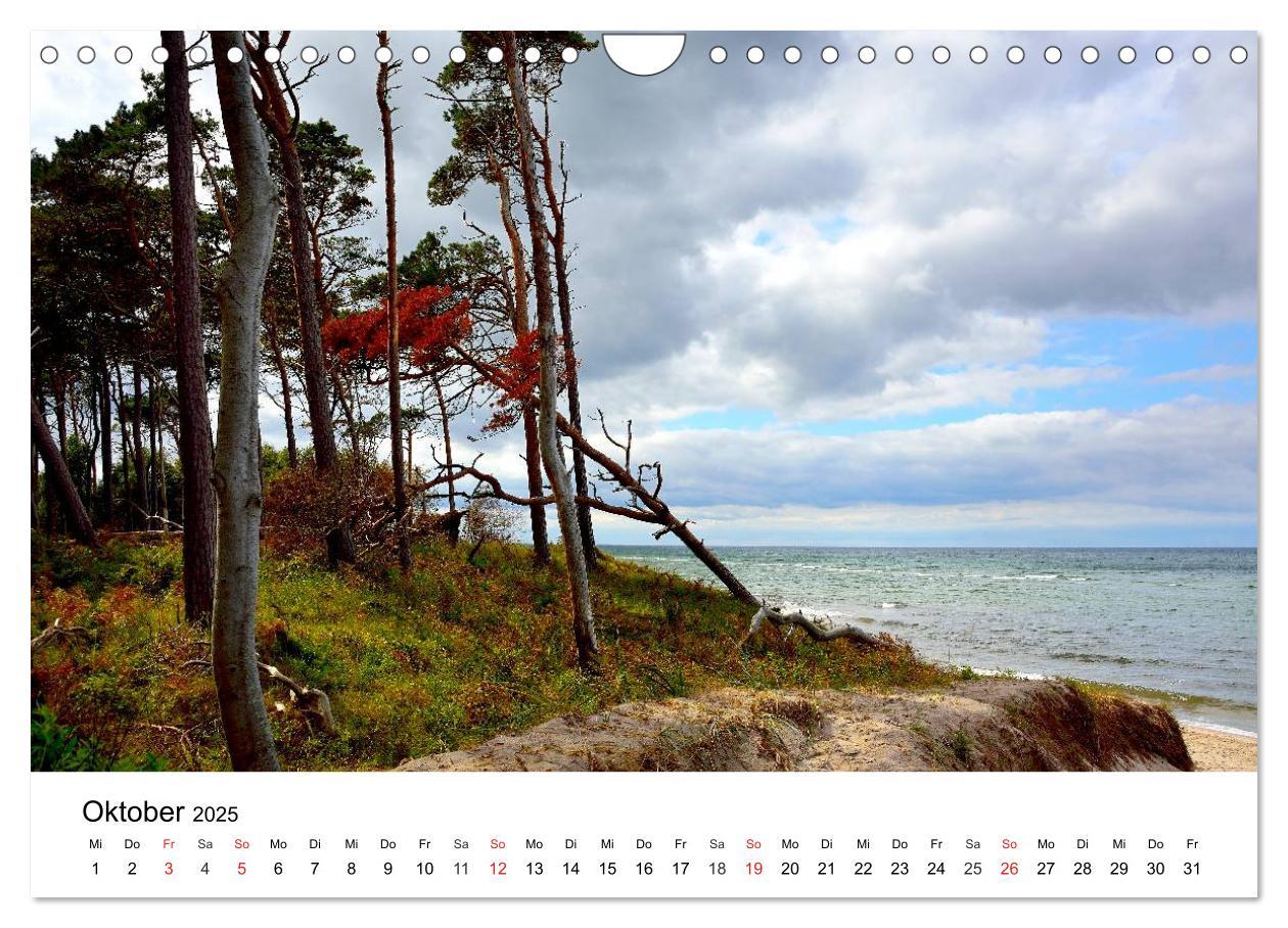 Bild: 9783435663842 | MEER - Mehr! (Wandkalender 2025 DIN A4 quer), CALVENDO Monatskalender