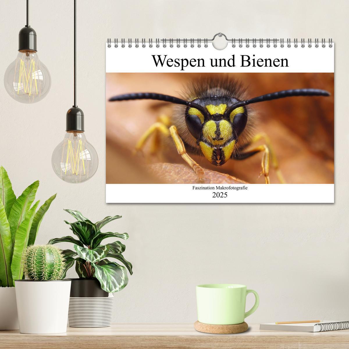 Bild: 9783435340965 | Faszination Makrofotografie: Wespen und Bienen (Wandkalender 2025...