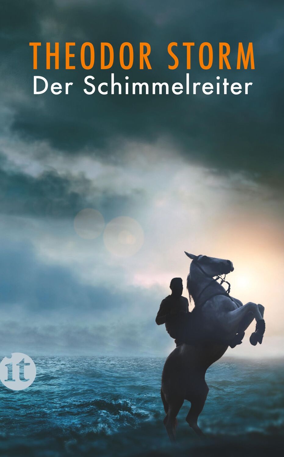 Cover: 9783458362166 | Der Schimmelreiter | Theodor Storm | Taschenbuch | 145 S. | Deutsch