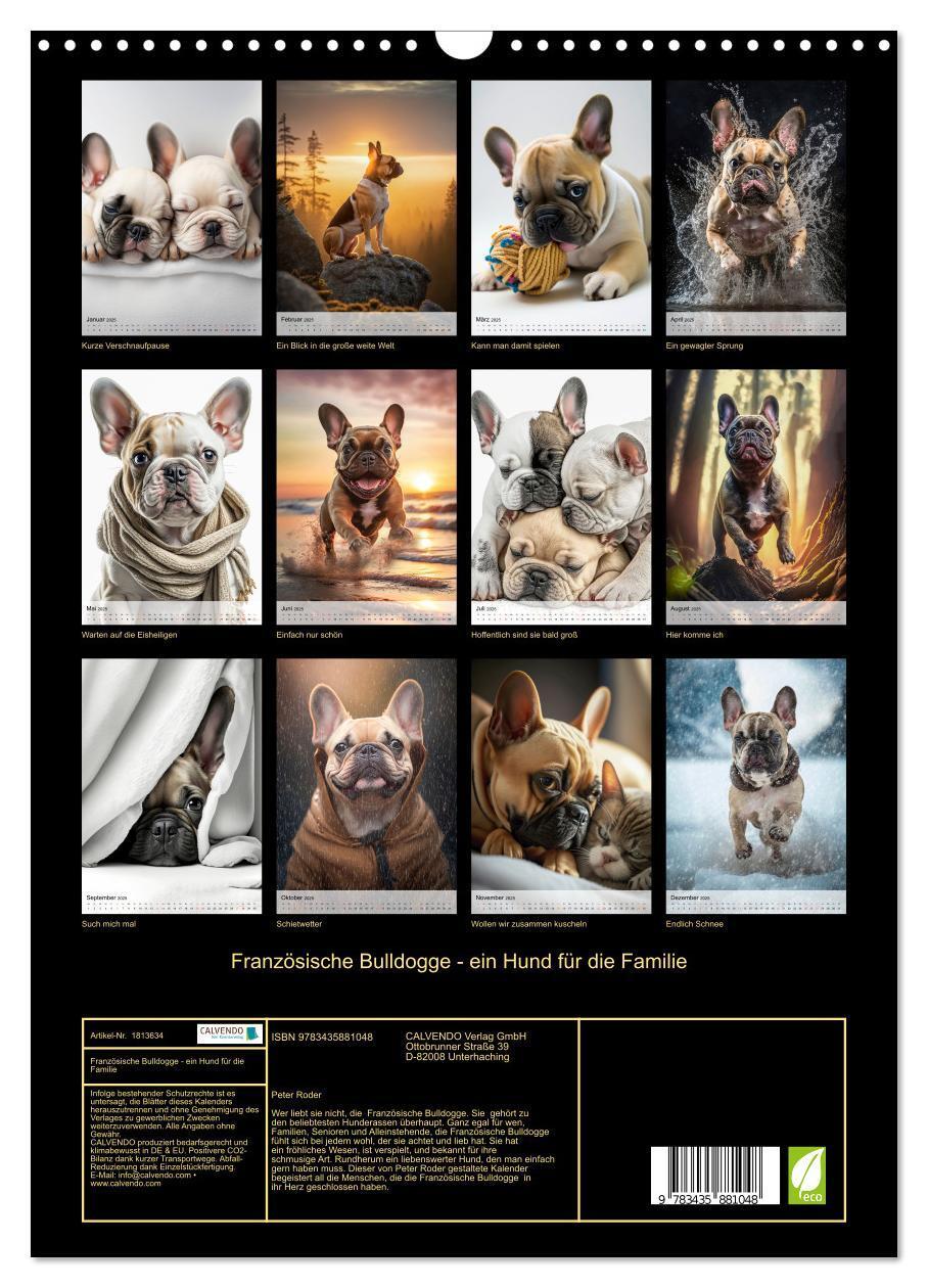 Bild: 9783435881048 | Französische Bulldogge - ein Hund für die Familie (Wandkalender...