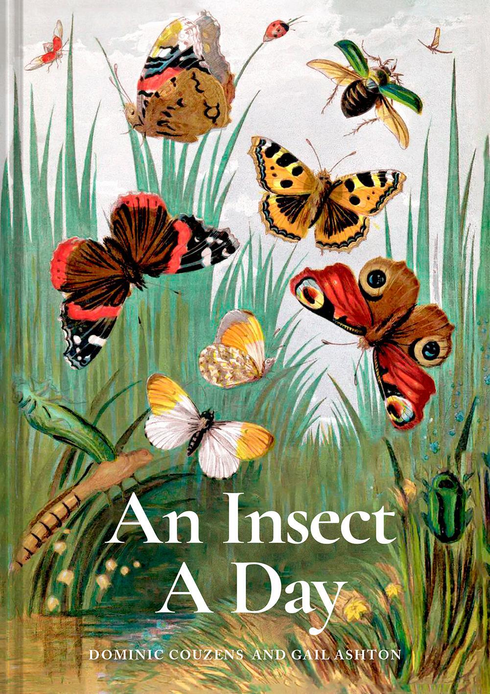 Cover: 9781849947947 | An Insect A Day | Dominic Couzens (u. a.) | Buch | Englisch | 2024