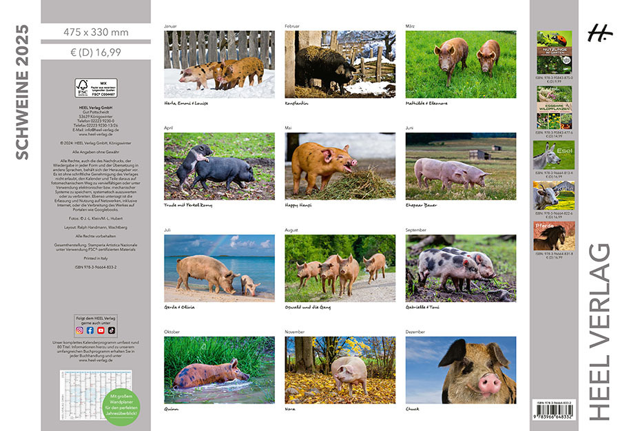 Bild: 9783966648332 | Schweine Kalender 2025 | Der Tierkalender mit den charmanten Namen