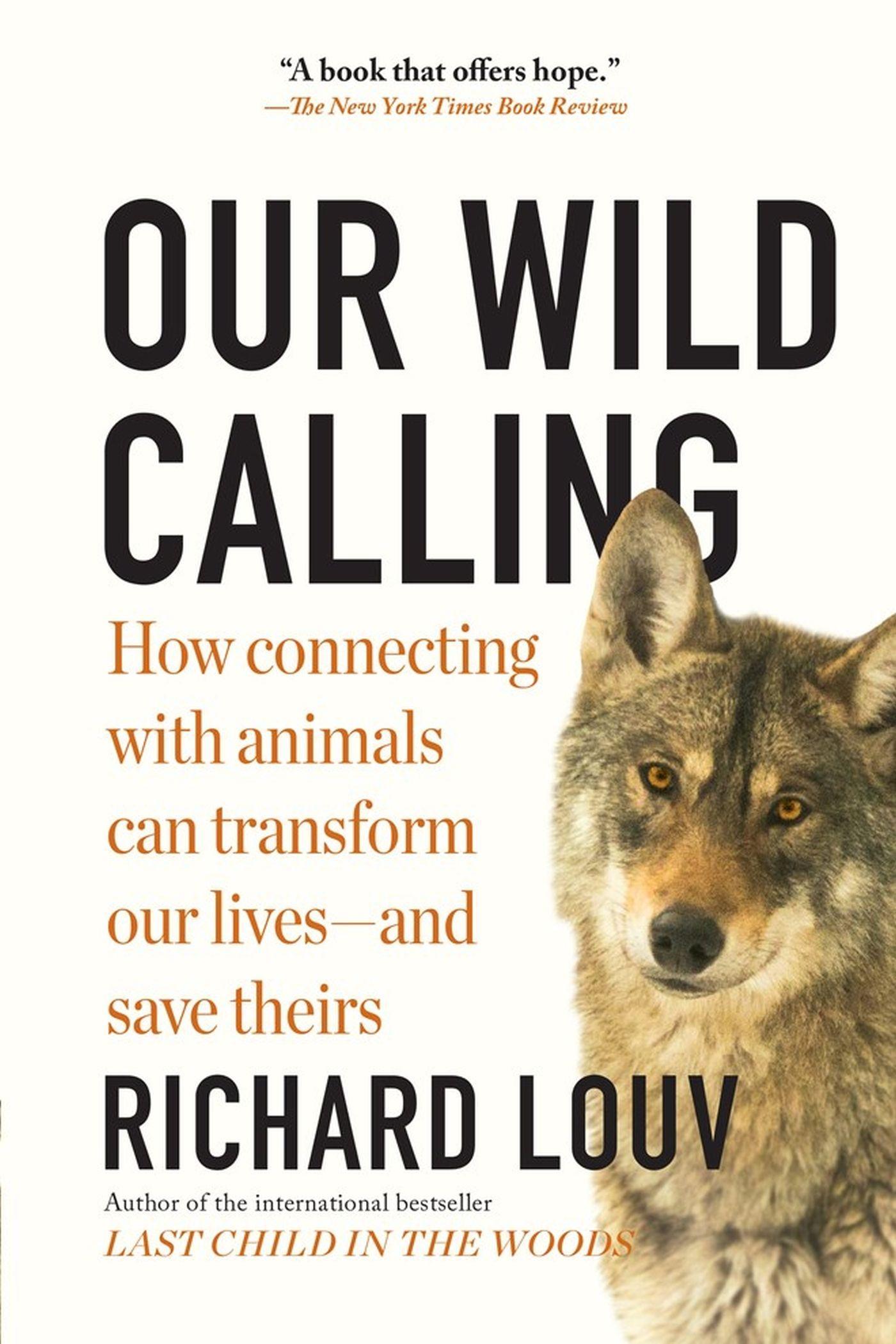 Cover: 9781643750842 | Our Wild Calling | Richard Louv | Taschenbuch | Englisch | 2020