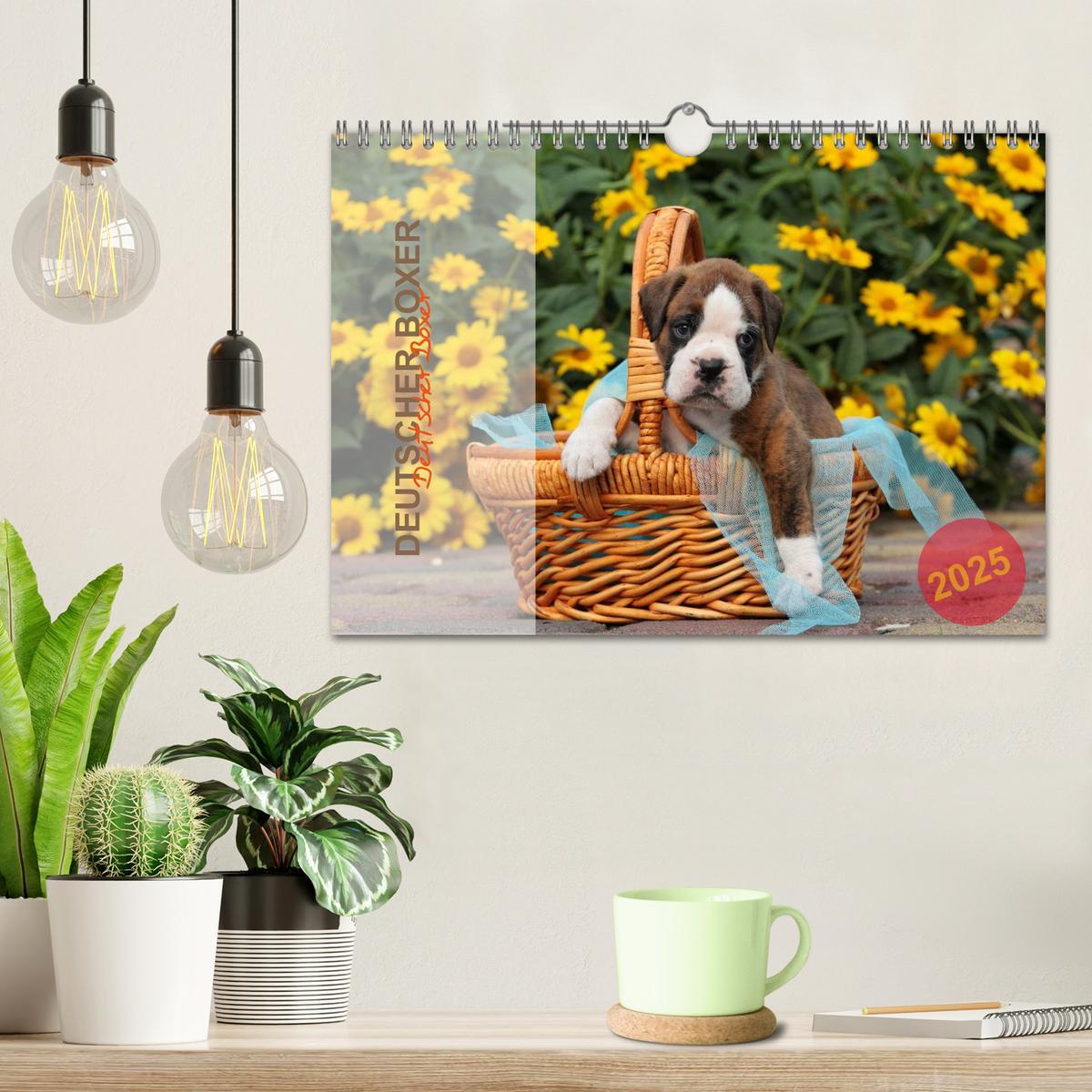 Bild: 9783435823345 | Deutscher Boxer 2025 (Wandkalender 2025 DIN A4 quer), CALVENDO...