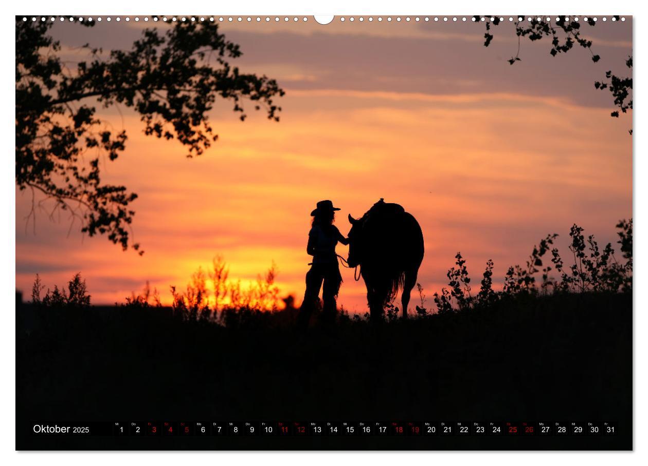 Bild: 9783435086788 | Faszination Westernpferde (Wandkalender 2025 DIN A2 quer), CALVENDO...