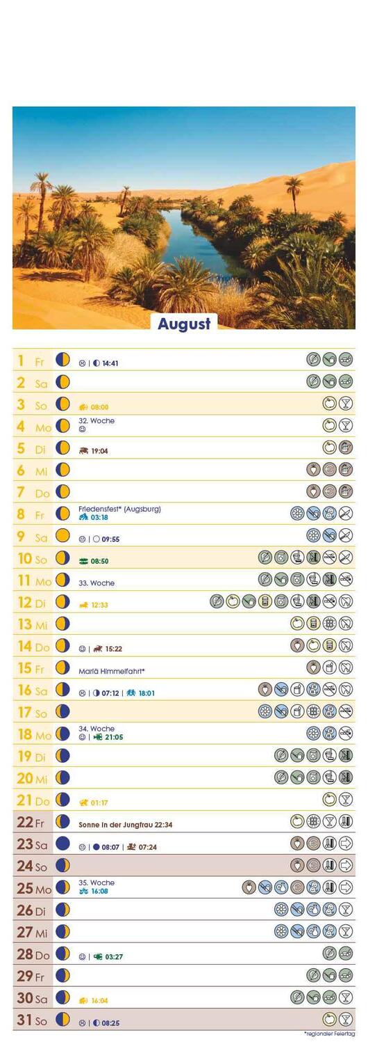Bild: 4251732341541 | Mondkalender 2025 - Streifen-Kalender 14,85x42 cm - Wandplaner -...
