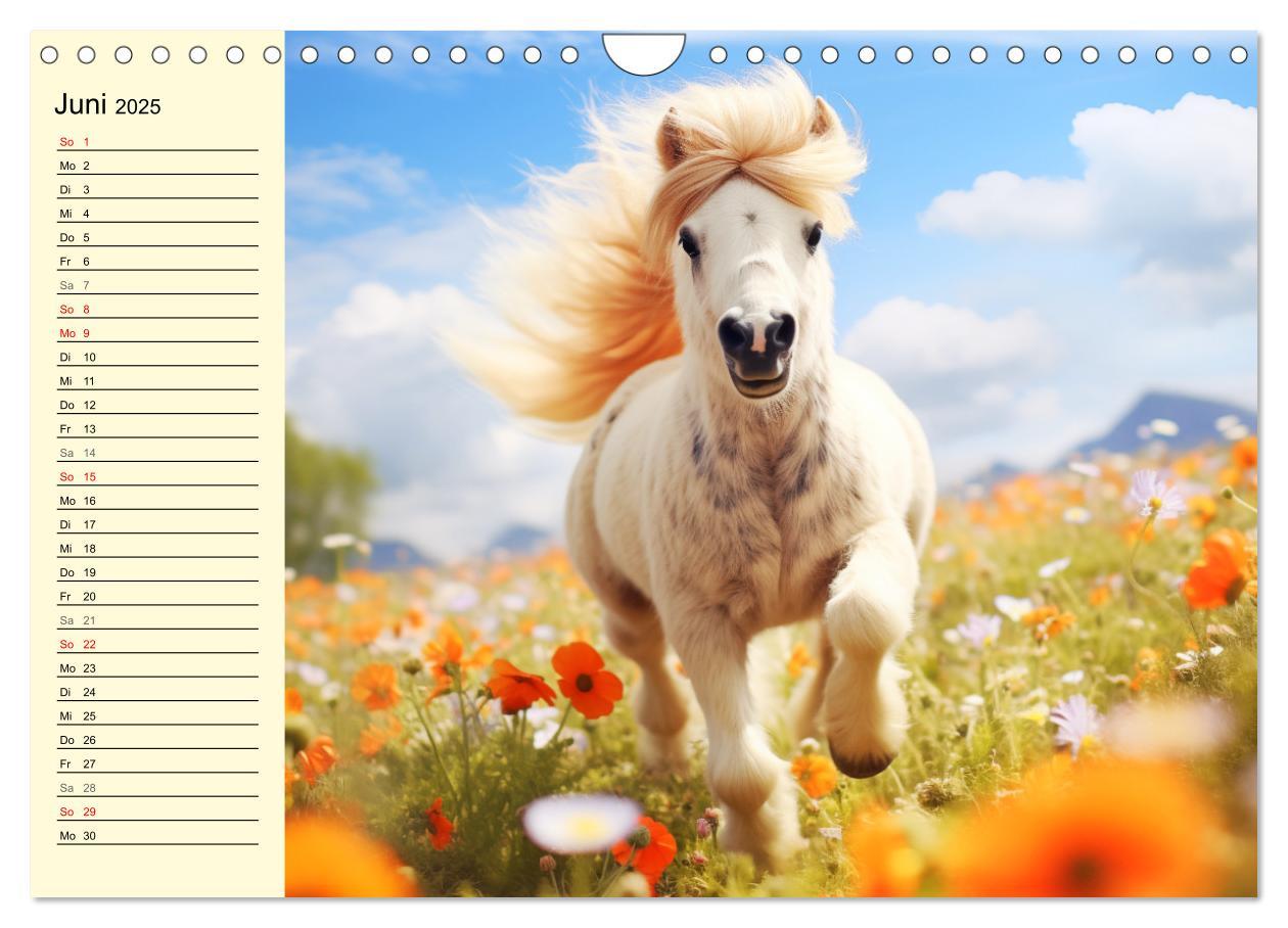 Bild: 9783435011605 | Kleine Pferde. Mini-Ponys zum verlieben (Wandkalender 2025 DIN A4...