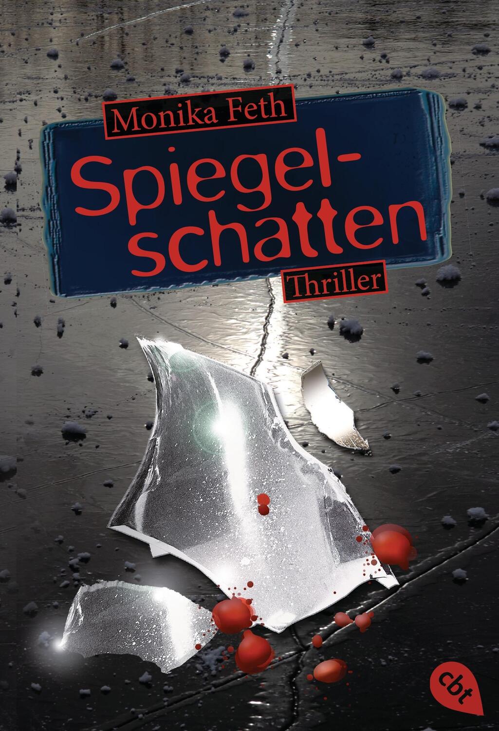 Cover: 9783570309223 | Spiegelschatten | Monika Feth | Taschenbuch | 480 S. | Deutsch | 2014