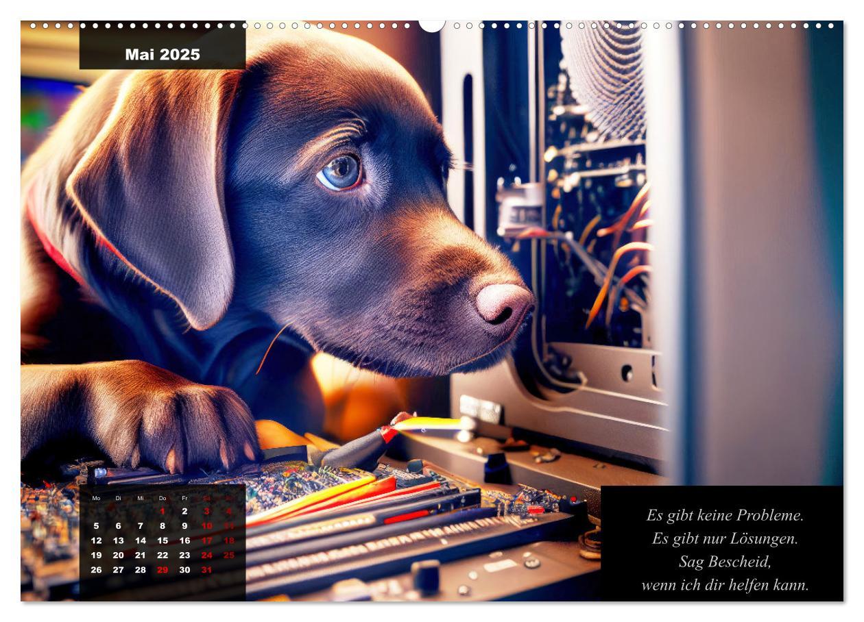 Bild: 9783435367535 | Der witzige Labrador-Kalender (Wandkalender 2025 DIN A2 quer),...